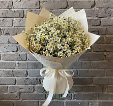 Букет цветов из:  Ромашки #REPLACE_PRED# Токарево