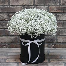 Цветочная композиция из Гипсофила в шляпной коробке #REPLACE_PRED# Токарево